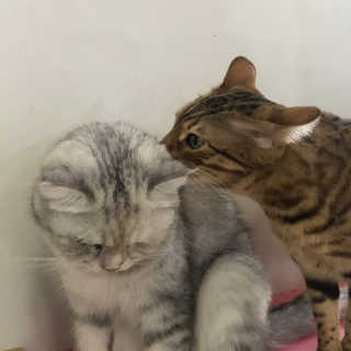 뚭잉님이 올린 리뷰 사진 1