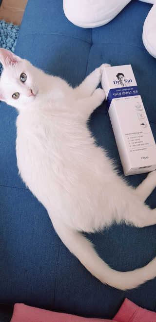 대박이님이 올린 리뷰 사진 1