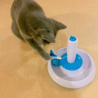 율집사님이 올린 리뷰 사진 3