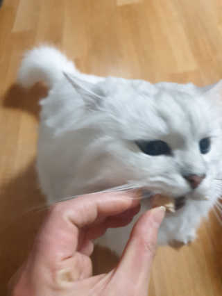 바다의해님이 올린 리뷰 사진 3