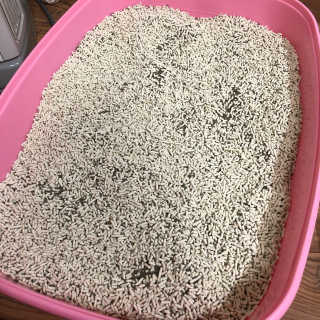 눌222님이 올린 리뷰 사진 4
