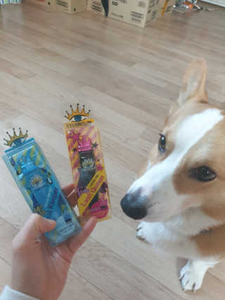 so0님이 올린 리뷰 사진 1