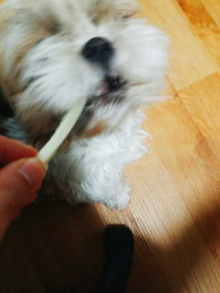 90찌니님이 올린 리뷰 사진 3