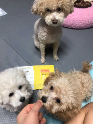 모모맘님이 올린 리뷰 사진 3