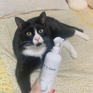 나르미르님이 올린 리뷰 사진 1