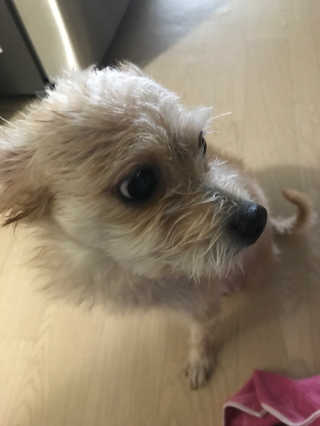 뽀미니님이 올린 리뷰 사진 1