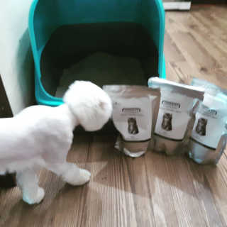 좋아님이 올린 리뷰 사진 4