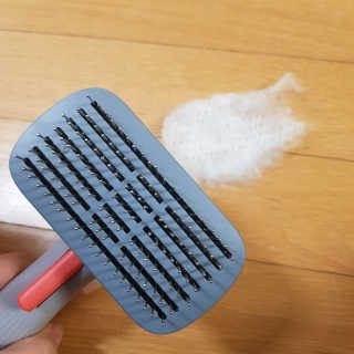 롤리팝님이 올린 리뷰 사진 4