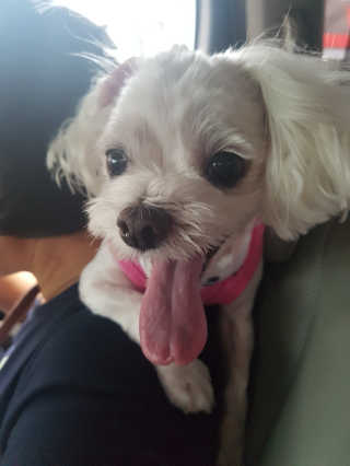 가원님이 올린 리뷰 사진 3