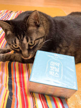 미소엔젤님이 올린 리뷰 사진 1