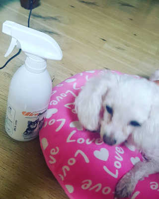 김유진님이 올린 리뷰 사진 1