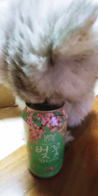 GS25 벚꽃 팝콘 + 벚꽃스파클링 + 벚꽃 청포도 에이드 — 4.83점을 준 리뷰어가 2018년 3월 올린 사용 사진