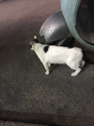 다소뮤님이 올린 리뷰 사진 1