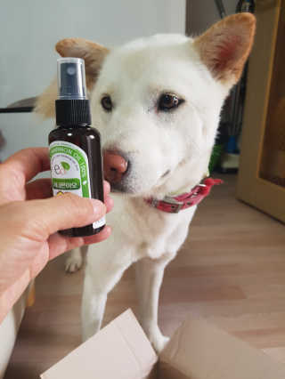 beautician님이 올린 리뷰 사진 3