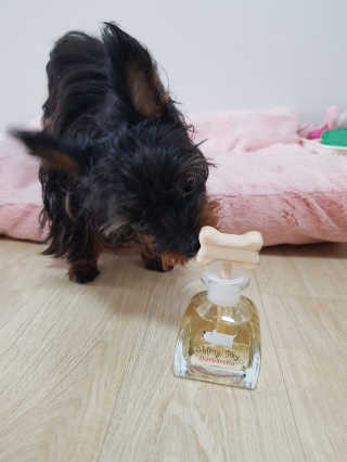 Cosmetic Director님이 올린 리뷰 사진 2