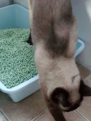 이하연님이 올린 리뷰 사진 3
