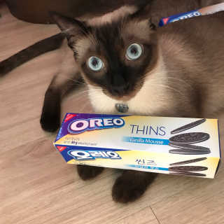 여니몬님이 올린 리뷰 사진 3
