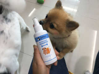 짠님이 올린 리뷰 사진 1
