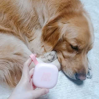 아보카도올리브님이 올린 리뷰 사진 2