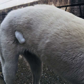 mitchen님이 올린 리뷰 사진 2