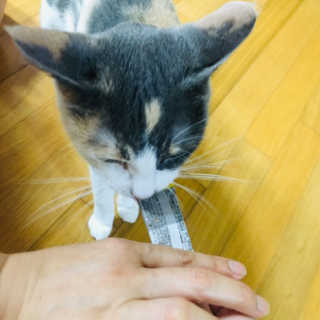 롱이❤️님이 올린 리뷰 사진 1