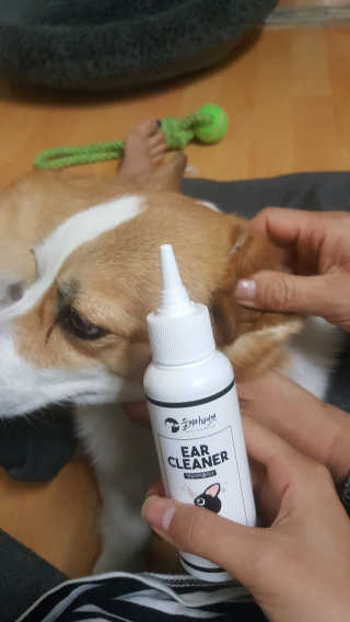 혜무룩님이 올린 리뷰 사진 1