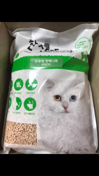 [펫토리아] BEST 고양이두부모래 6L 한삽뚝딱 — 3점을 준 리뷰어가 2019년 2월 올린 사용 사진