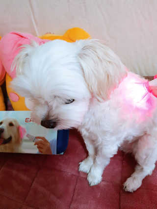 youngran님이 올린 리뷰 사진 1