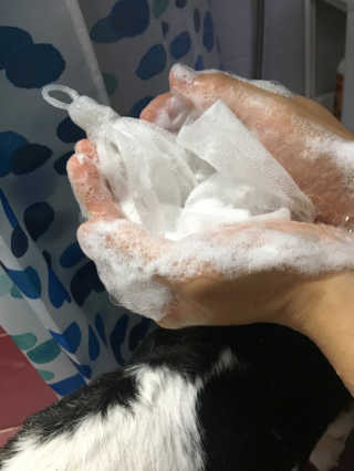renejigu님이 올린 리뷰 사진 2