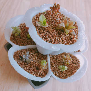 휘뚜루마뚜루님이 올린 리뷰 사진 1