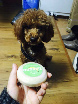 우에오에님이 올린 리뷰 사진 2