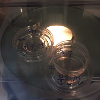 gohojo님이 올린 리뷰 사진 2
