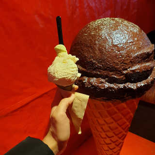 dgmugstar님이 올린 리뷰 사진 1
