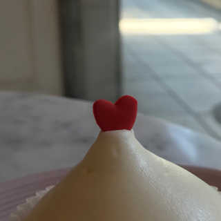 몽글이님이 올린 리뷰 사진 4