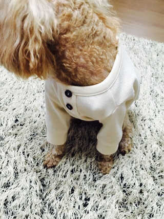 에드님이 올린 리뷰 사진 4