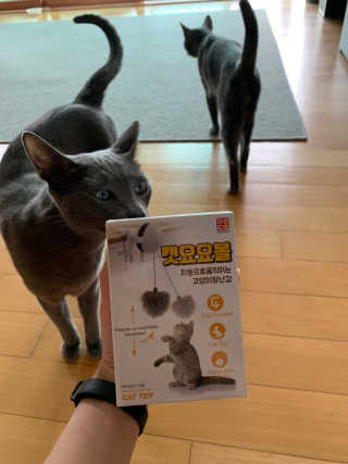 김꽁꽁님이 올린 리뷰 사진 2