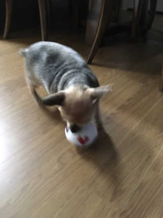 리미님이 올린 리뷰 사진 2