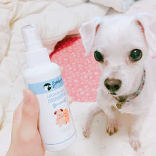 희뽀님이 올린 리뷰 사진 1