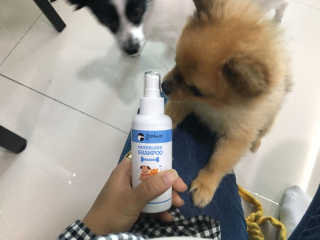 짠님이 올린 리뷰 사진 2