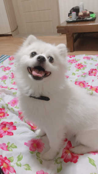 오기님이 올린 리뷰 사진 2
