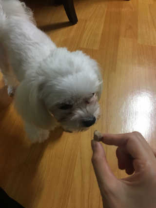 봄아이리온님이 올린 리뷰 사진 4
