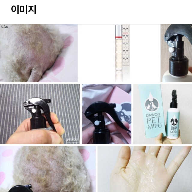 다원펫 미뿌 미스트 리뷰 사진