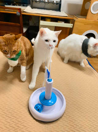 하윤맘님이 올린 리뷰 사진 3