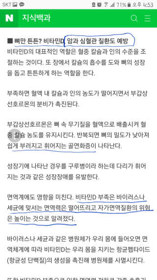 플로라님이 올린 리뷰 사진 2