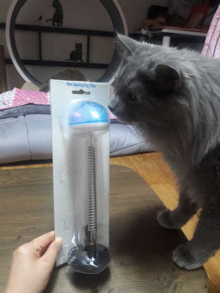 빵희님이 올린 리뷰 사진 1