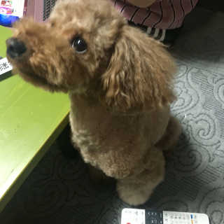 박혜린님이 올린 리뷰 사진 2