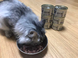 배융빵님이 올린 리뷰 사진 3