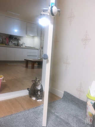 징니คʕ•ﻌ•ʔค님이 올린 리뷰 사진 4