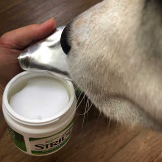 한나단미님이 올린 리뷰 사진 3