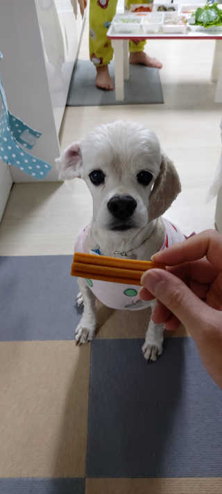 멋쟁이지휘관님이 올린 리뷰 사진 2